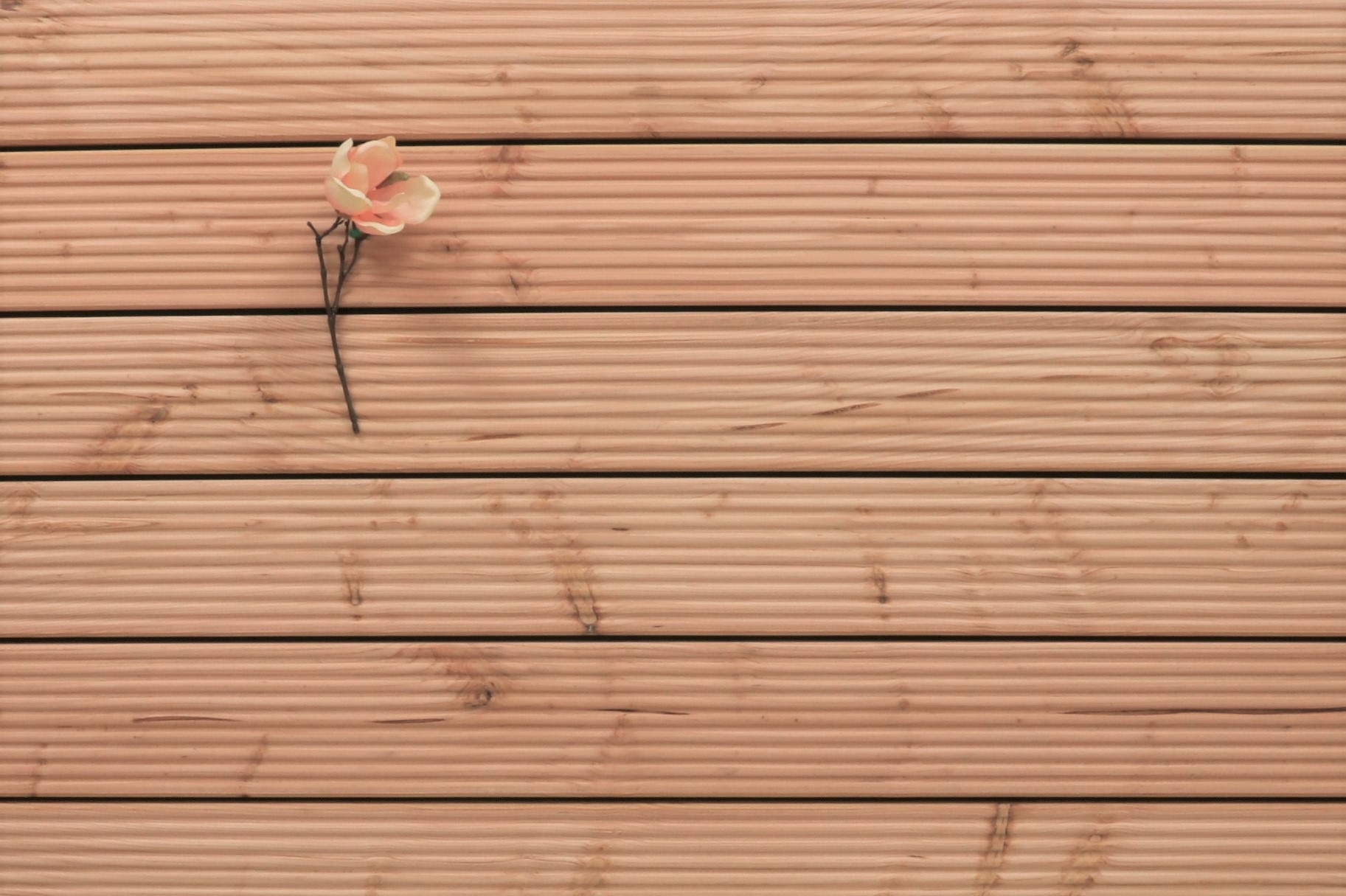 Douglasie Holz Dielen für die Terrasse, 5,30 €/lfm, grob genutet, 26 x 145 bis 5000 mm, Terrassendielen Bretter