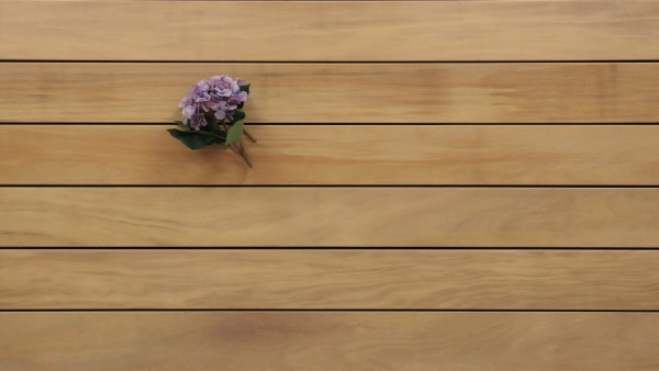 Holzterrasse Garapa, 25 x 145 bis 6100 mm, glatt, 13,20 €/lfm, Premium (KD)